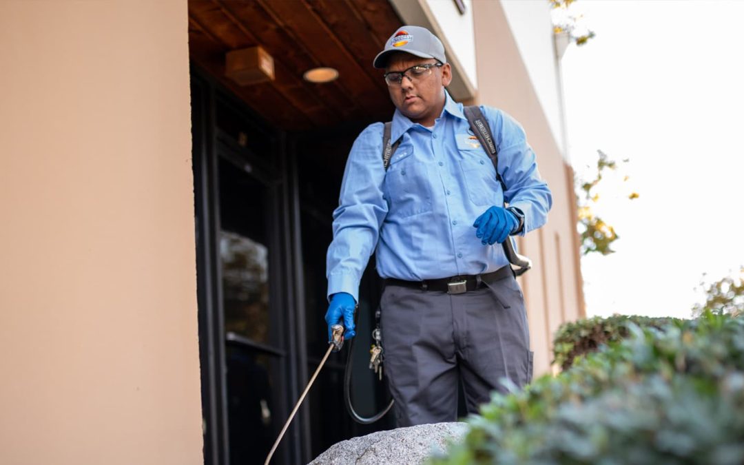 La Jolla CA pest control | providing pest management