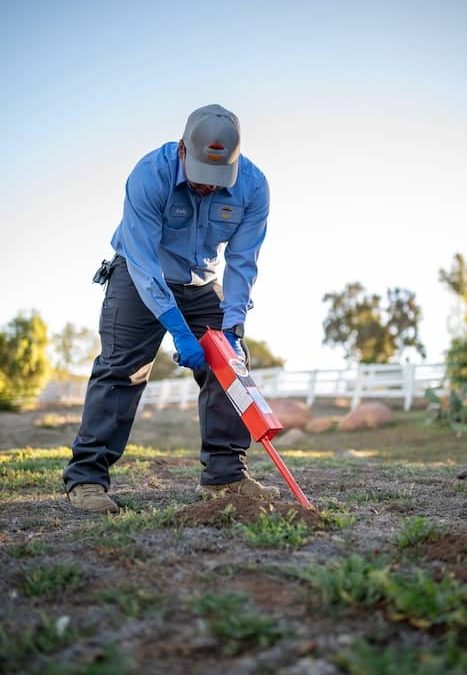 La Mesa CA Pest Control Service