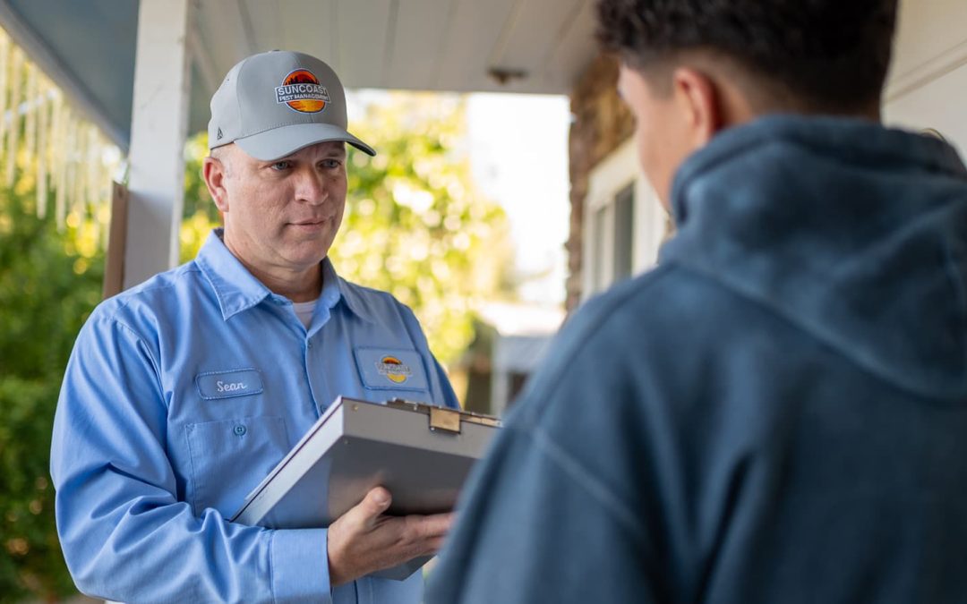 Pacific Beach CA pest control service | it’s the best