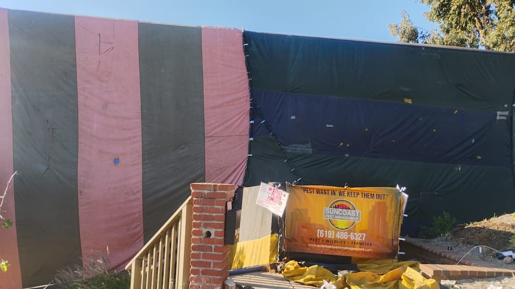 Pest Control Service La Jolla Ca Suncoast Pest Management Updates 3 30 2026 002