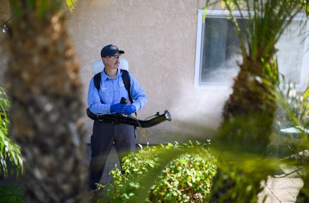 Pest control La Jolla CA | choosing us to get that pest control now