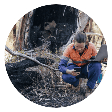 Pest Control La Jolla Ca Mid Circle Wildlife Management