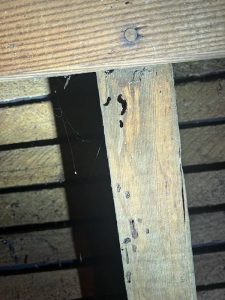 Pest Control La Jolla Ca Services 7
