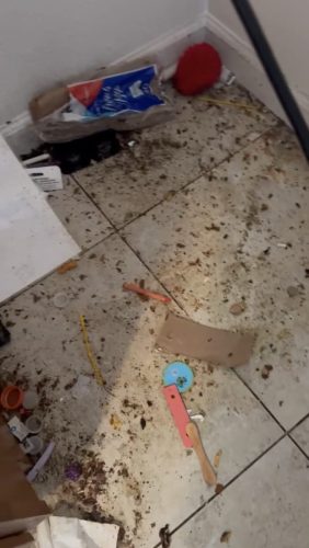 Pest Control Service La Jolla Ca Suncoast Pest Management Updates 1 5 2025 003