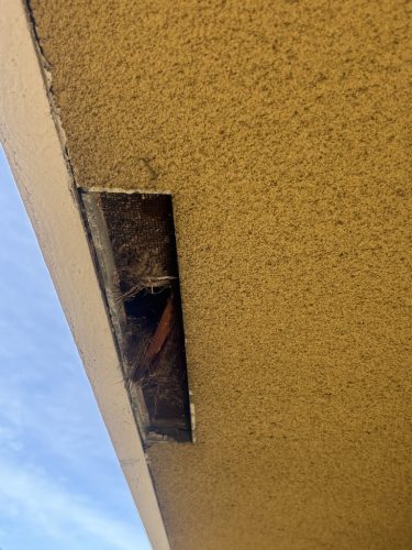 Pest Control Service La Jolla Ca Suncoast Pest Management Updates 10 27 2025 1