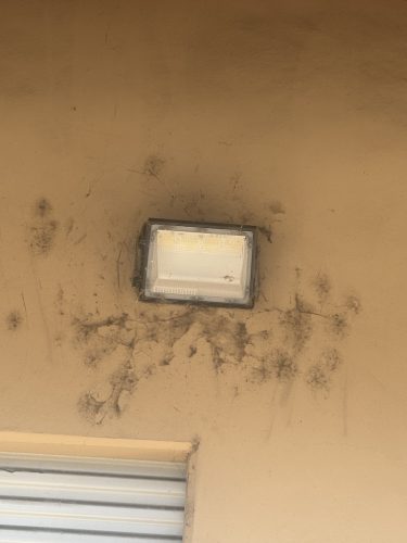 Pest Control Service La Jolla Ca Suncoast Pest Management Updates 10 27 2025 4