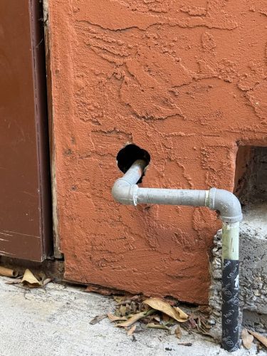 Pest Control Service La Jolla Ca Suncoast Pest Management Updates 11 10 2025 1