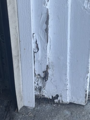 Pest Control Service La Jolla Ca Suncoast Pest Management Updates 11 17 2025 1