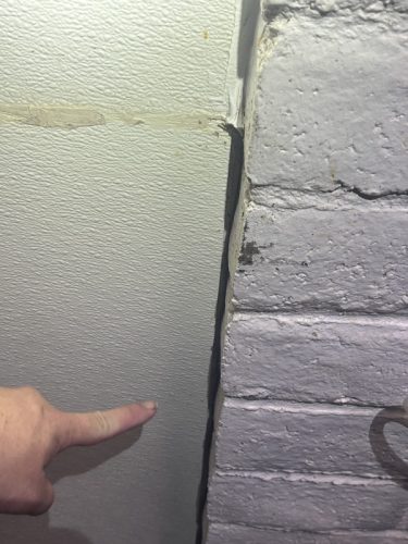 Pest Control Service La Jolla Ca Suncoast Pest Management Updates 11 17 2025 3