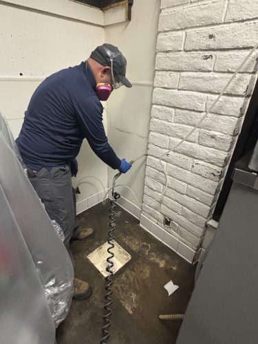 Pest Control Service La Jolla Ca Suncoast Pest Management Updates 11 17 2025 4