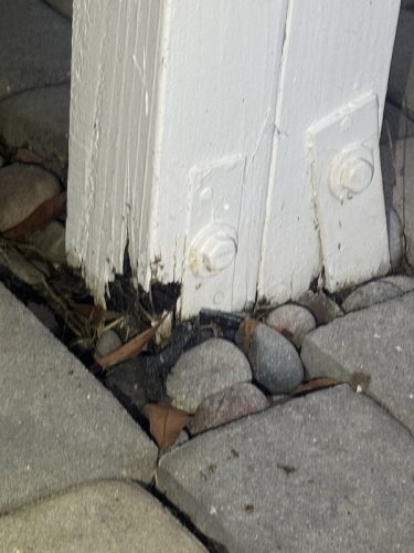 Pest Control Service La Jolla Ca Suncoast Pest Management Updates 11 17 2025 5