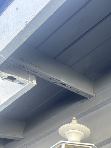 Pest Control Service La Jolla Ca Suncoast Pest Management Updates 11 17 2025 6