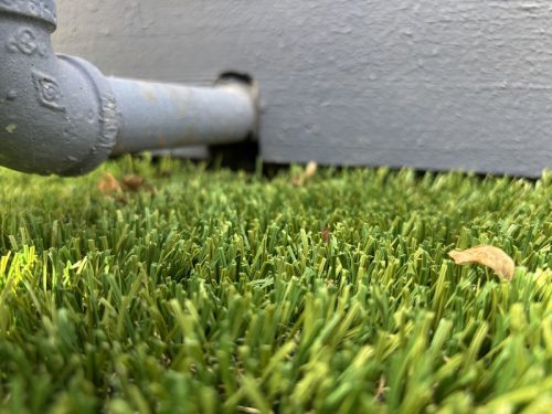 Pest Control Service La Jolla Ca Suncoast Pest Management Updates 11 24 2025 1