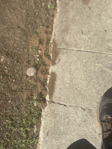 Pest Control Service La Jolla Ca Suncoast Pest Management Updates 12 15 2025 2