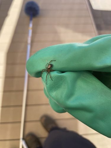 Pest Control Service La Jolla Ca Suncoast Pest Management Updates 4 12 2026 001