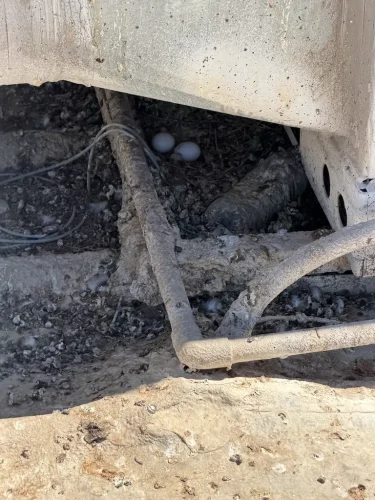 Pest Control Service La Jolla Ca Suncoast Pest Management Updates 6 22 2026 3