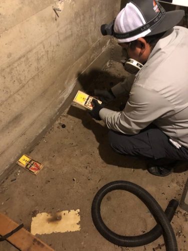 Pest-control-service-la-jolla-ca-suncoast-pest-management-gallery-images-8-25-2025-10 (1)