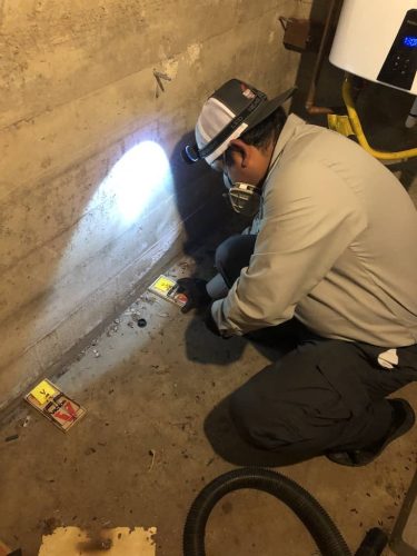 Pest-control-service-la-jolla-ca-suncoast-pest-management-gallery-images-8-25-2025-11 (1)