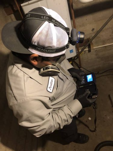 Pest-control-service-la-jolla-ca-suncoast-pest-management-gallery-images-8-25-2025-12 (1)