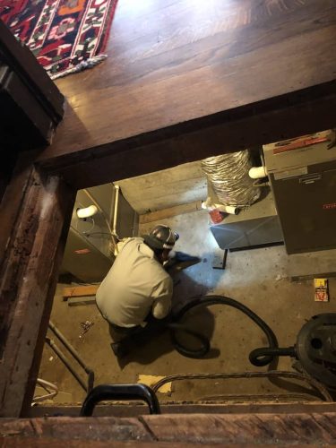 Pest-control-service-la-jolla-ca-suncoast-pest-management-gallery-images-8-25-2025-13