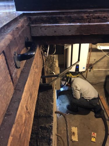 Pest-control-service-la-jolla-ca-suncoast-pest-management-gallery-images-8-25-2025-14