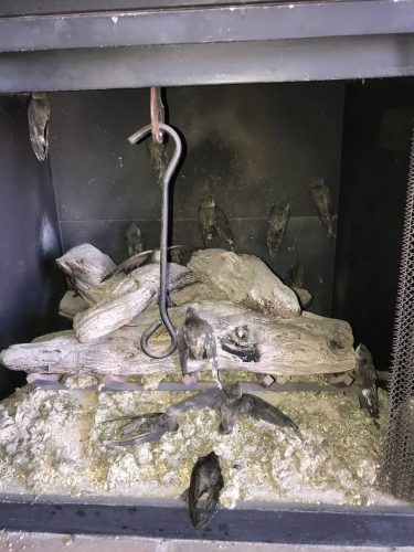 Pest-control-service-la-jolla-ca-suncoast-pest-management-gallery-images-8-25-2025-21 (1)