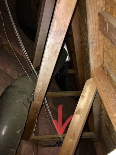 Pest-control-service-la-jolla-ca-suncoast-pest-management-gallery-images-8-25-2025-2 (1)