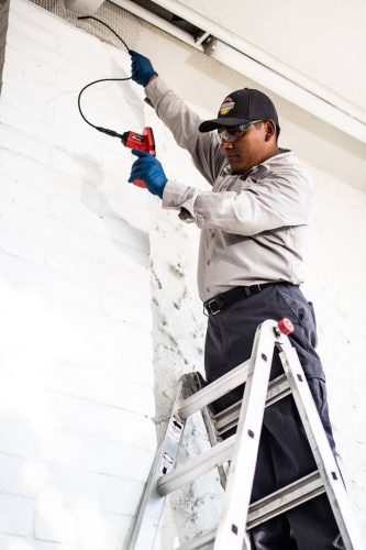 Pest-control-service-la-jolla-ca-suncoast-pest-management-gallery-images-8-25-2025-32