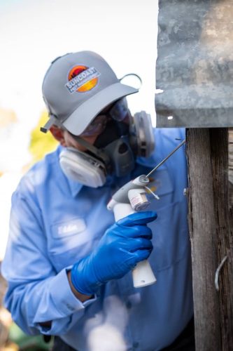 Pest-control-service-la-jolla-ca-suncoast-pest-management-gallery-images-8-25-2025-41 (1)