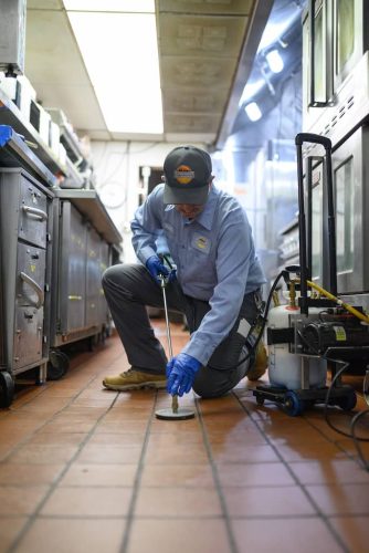 Pest-control-service-la-jolla-ca-suncoast-pest-management-gallery-images-8-25-2025-47 (1)