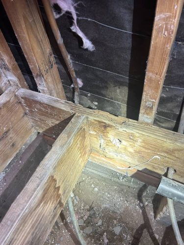 Pest-control-service-la-jolla-ca-suncoast-pest-management-gallery-images-8-25-2025-48