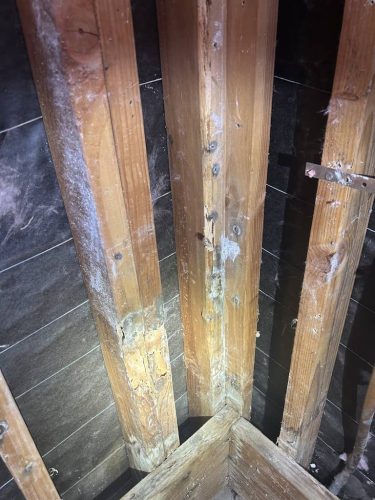 Pest-control-service-la-jolla-ca-suncoast-pest-management-gallery-images-8-25-2025-49