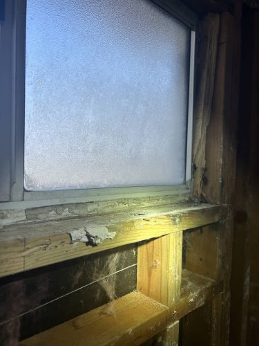 Pest-control-service-la-jolla-ca-suncoast-pest-management-gallery-images-8-25-2025-50