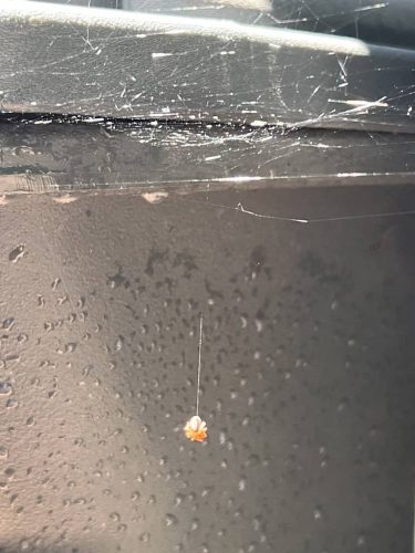 Pest-control-service-la-jolla-ca-suncoast-pest-management-gallery-images-8-25-2025-55