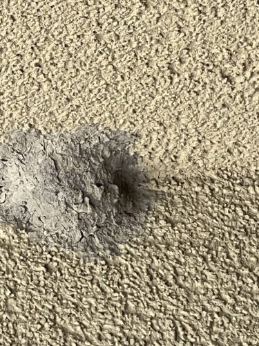 Pest-control-service-la-jolla-ca-suncoast-pest-management-gallery-images-8-25-2025-57