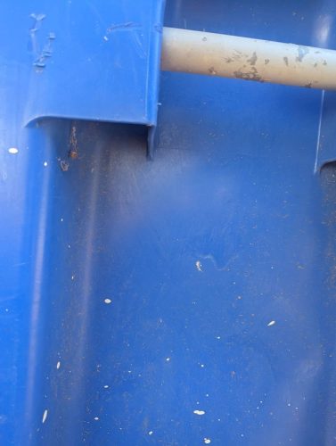 Pest-control-service-la-jolla-ca-suncoast-pest-management-gallery-images-8-25-2025-59
