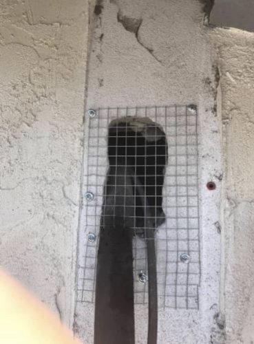 Pest-control-service-la-jolla-ca-suncoast-pest-management-gallery-images-8-25-2025-6