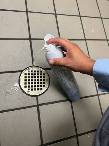 Pest-control-service-la-jolla-ca-suncoast-pest-management-gallery-images-8-25-2025-63 (1)