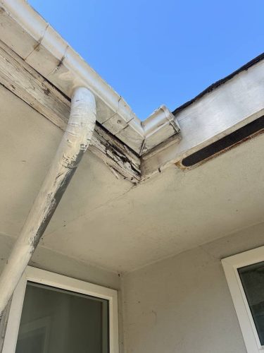 Pest-control-service-la-jolla-ca-suncoast-pest-management-gallery-images-8-25-2025-66 (1)