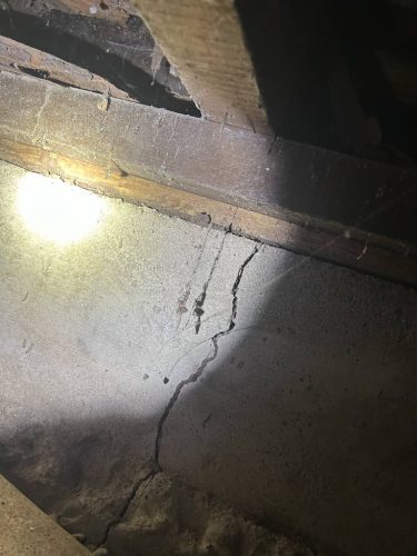 Pest-control-service-la-jolla-ca-suncoast-pest-management-gallery-images-8-25-2025-77 (1)