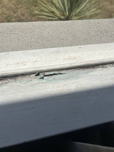 Pest-control-service-la-jolla-ca-suncoast-pest-management-gallery-images-8-25-2025-79 (1)