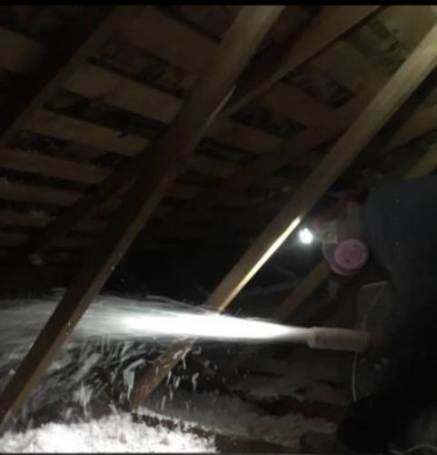 Pest-control-service-la-jolla-ca-suncoast-pest-management-gallery-images-8-25-2025-7 (1)