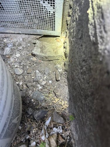 Pest-control-service-la-jolla-ca-suncoast-pest-management-gallery-images-8-25-2025-82 (1)