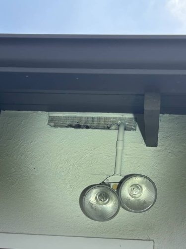 Pest-control-service-la-jolla-ca-suncoast-pest-management-gallery-images-8-25-2025-83 (1)