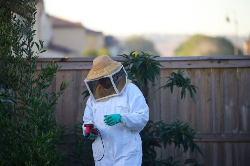 Pest-control-service-la-jolla-ca-suncoast-pest-management-gallery-images-8-25-2025-85 (1)