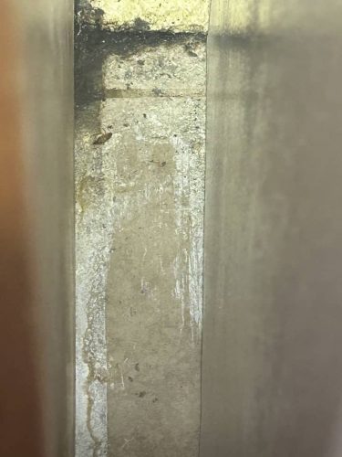 Pest-control-service-la-jolla-ca-suncoast-pest-management-gallery-images-9-1-2025-1