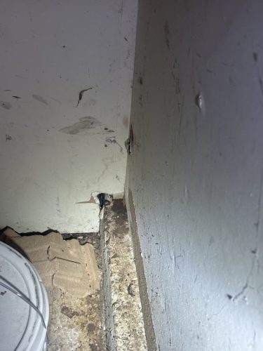 Pest-control-service-la-jolla-ca-suncoast-pest-management-updates-1-12-2026-1