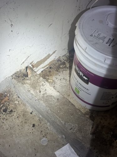 Pest-control-service-la-jolla-ca-suncoast-pest-management-updates-1-12-2026-2