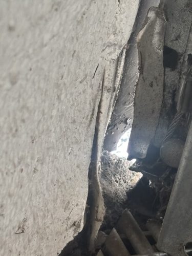 Pest-control-service-la-jolla-ca-suncoast-pest-management-updates-1-12-2026-3