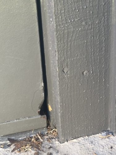 Pest-control-service-la-jolla-ca-suncoast-pest-management-updates-1-12-2026-5